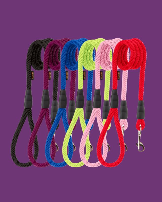 Mesh Leash - 4 Feet
