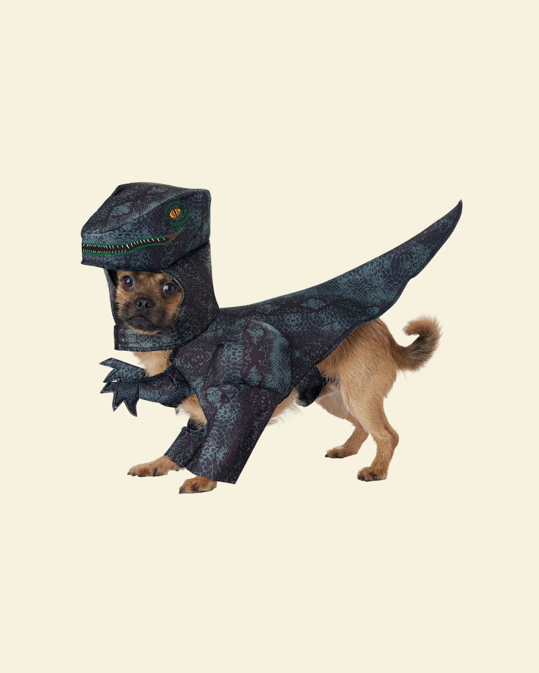 Pupasaurus Rex