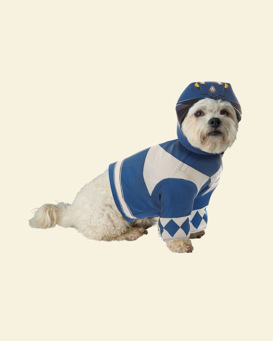 Blue Power Ranger