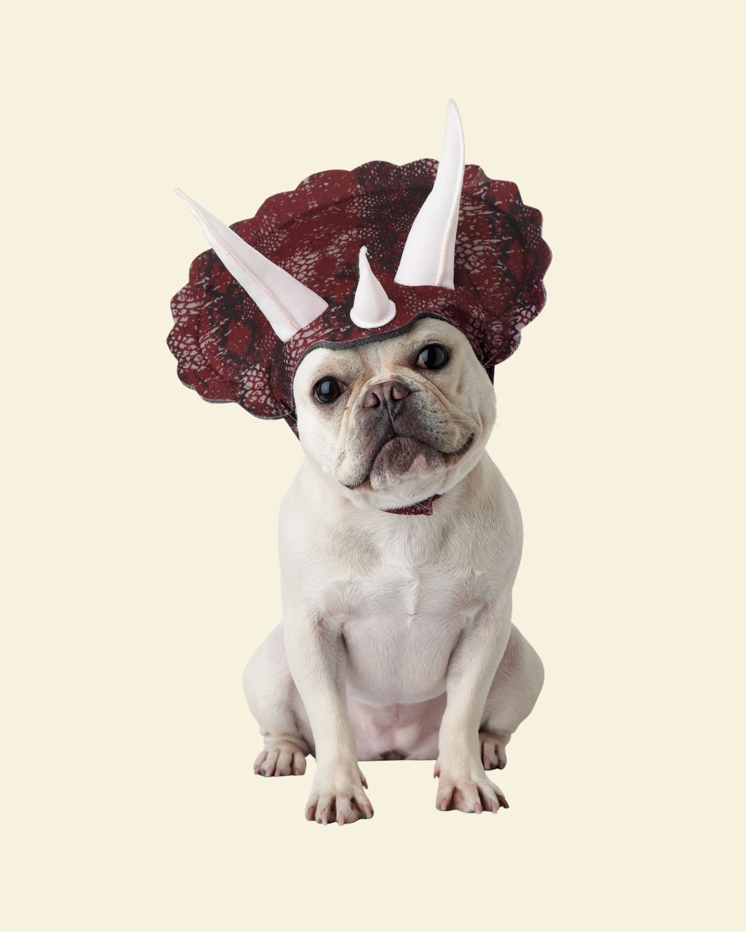 Triceradog