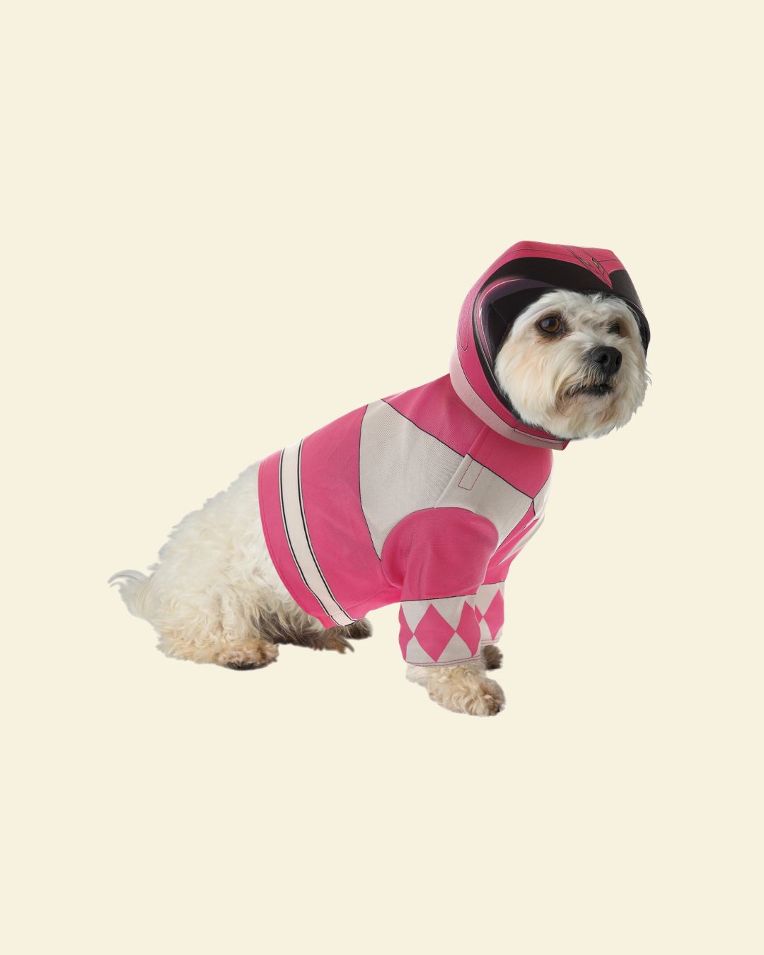 Pink Power Ranger