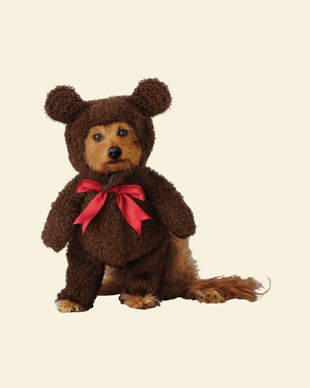 Teddy Bear