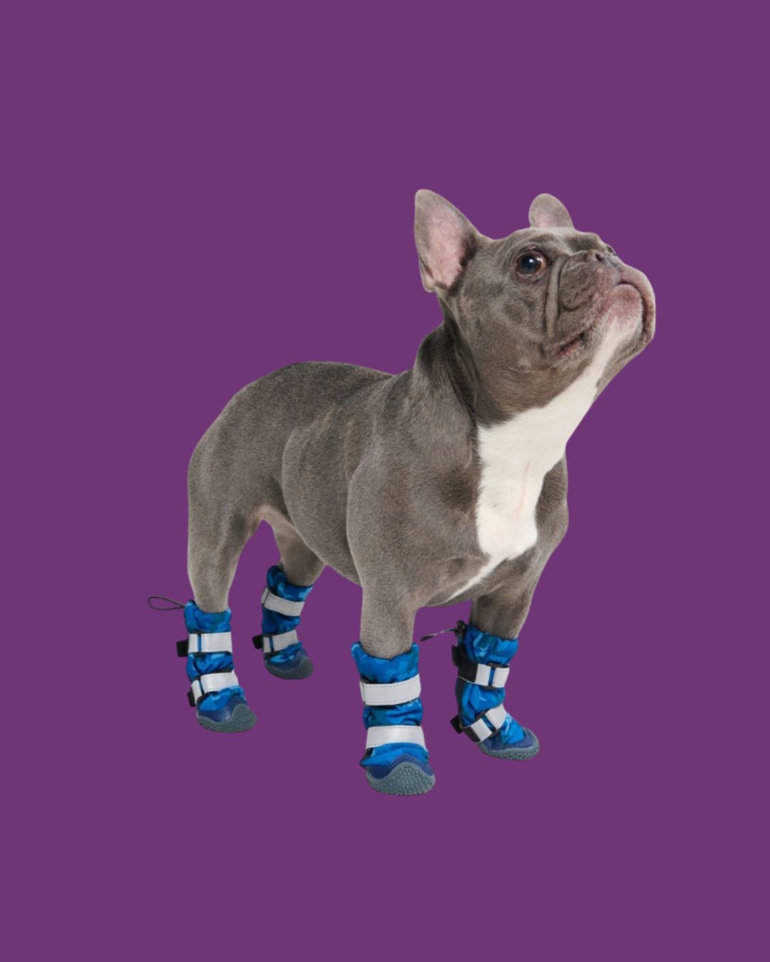 Spark Paws- Flex Shell Water-Resistant Dog Boots, Color/Size: Camo Blue Size 1