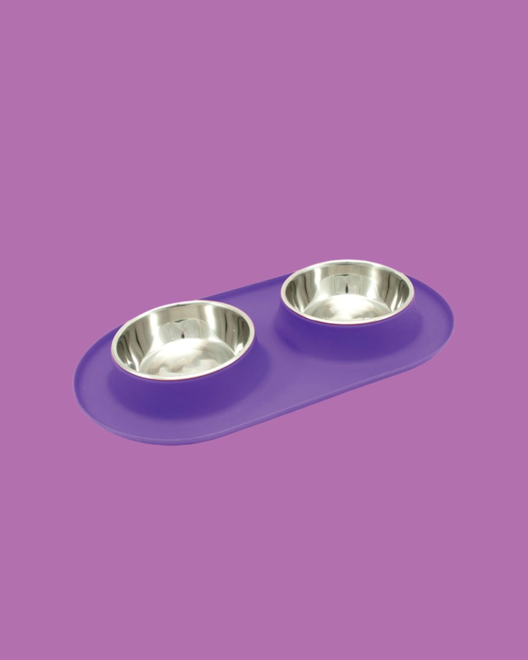 Messy Cats- Double Silicone Feeder