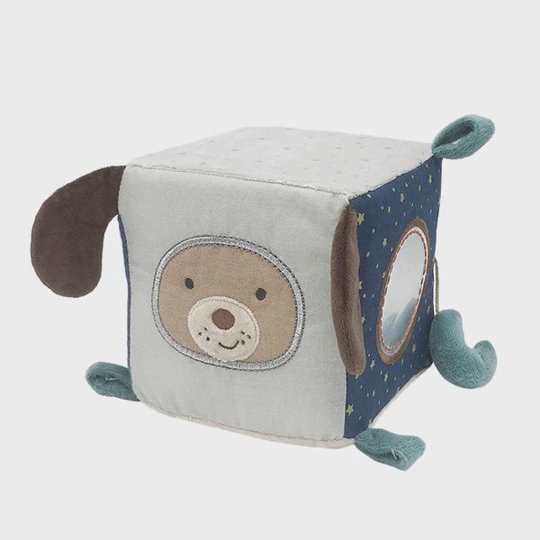 ASTRO DOG ACTIVITY CUBE - AP1001