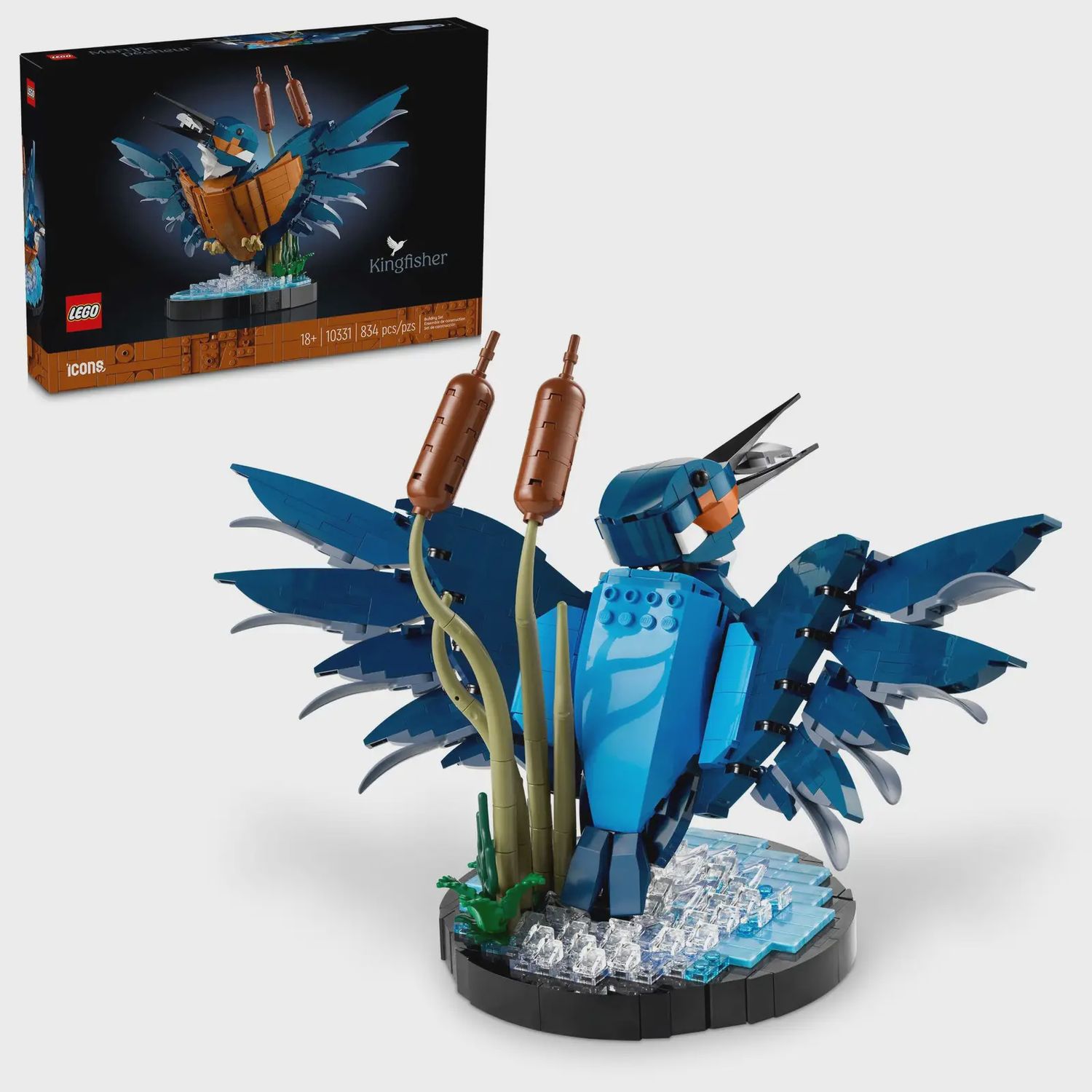 Kingfisher Bird CS -10331