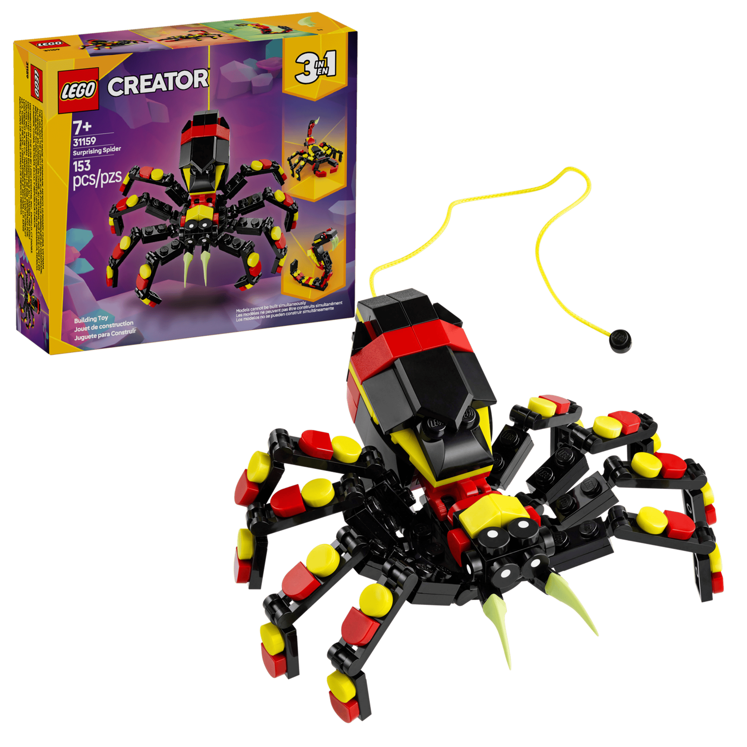 Wild Animal: Surprising Spider