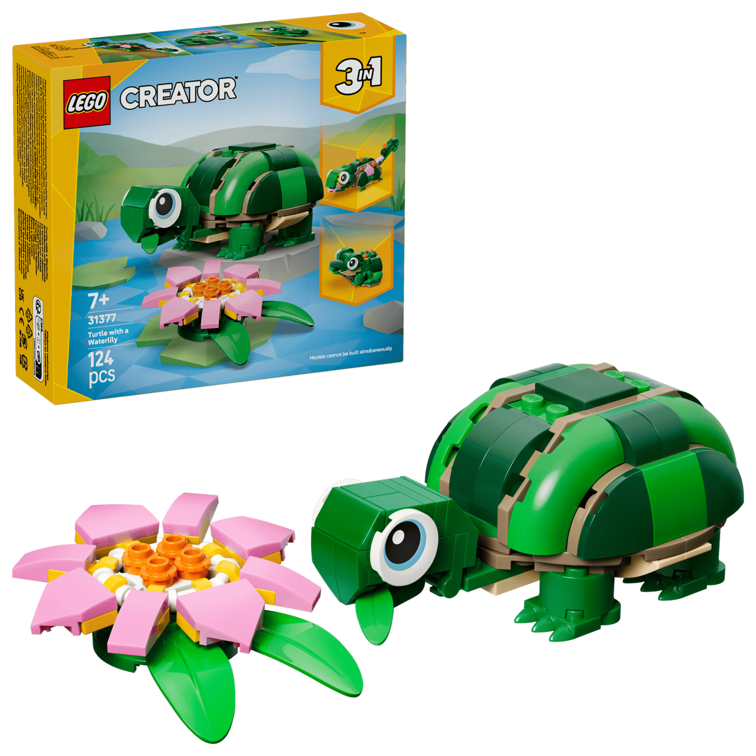 Turtle With a Water Lily Flower