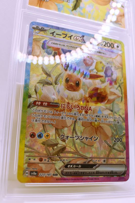 Pokemon Evee ex 223/187 JP CollectAura 9