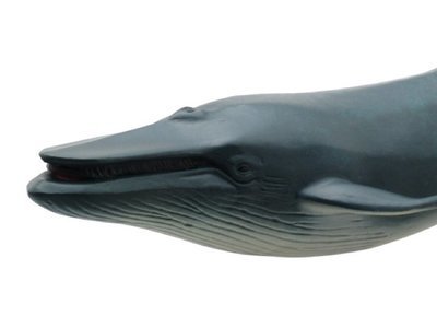 Blue Whale PVC Rubber Model Toy