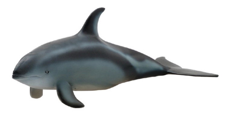 Pacific White Side Dolphin Pounce Pal Plush Stuffed Animal Rhode Island Novelty