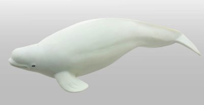 Beluga Whale Vinyl Model Toy