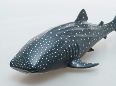 Whale Shark Vinyl Model Toy