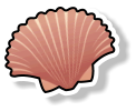 Fresh Scallops (per kg)