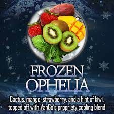 VanGo - Frozen Ophelia Salts