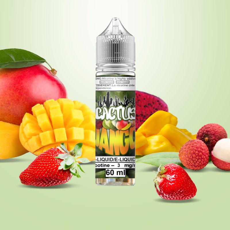 VanGo - Cactus Jango