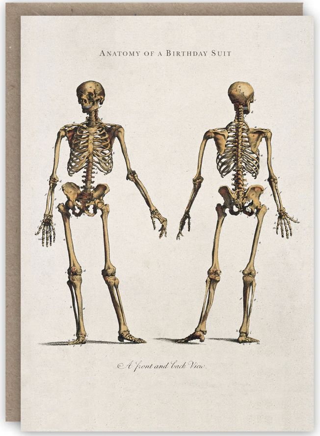 Anatomy of a Birthday Suit Card