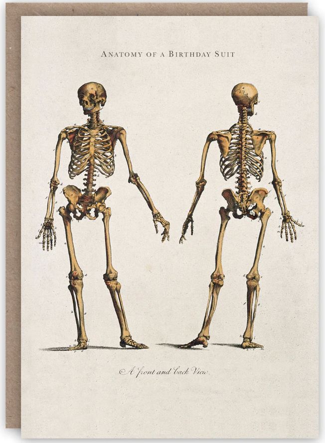 Anatomy of a Birthday Suit Card