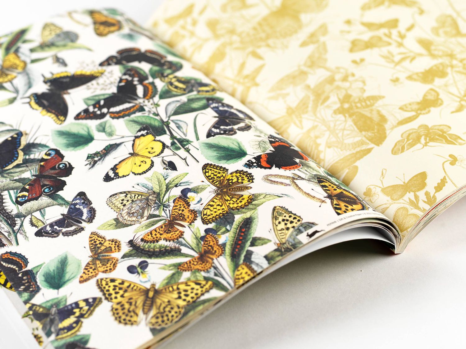 Butterflies Gift &amp; Creative Paper Book Vol. 109