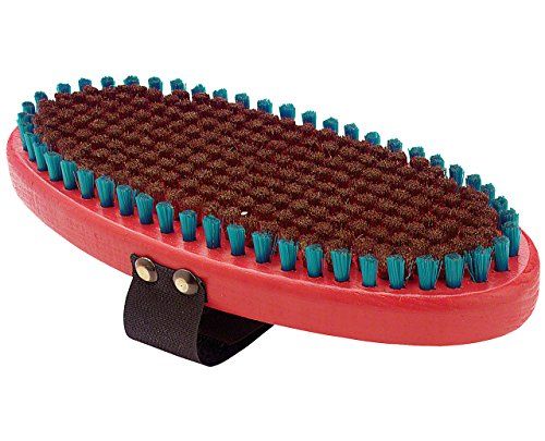 T162O Brush Oval