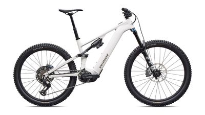 LEVO COMP ALLOY G4 DUNEWHT/BNTGLDMET S3