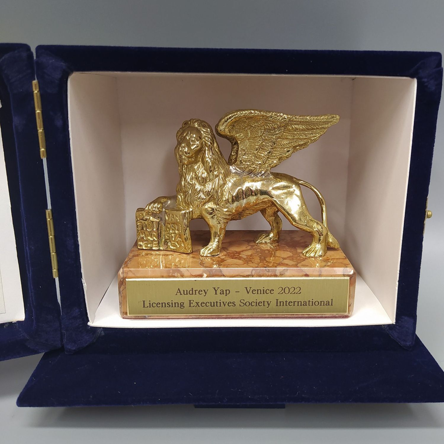 Trofeo Leone Venezia fusione ottone lucido Trofeo Leone Venezia fusione ottone lucido, Dimensioni: PICCOLO 1^ mis
