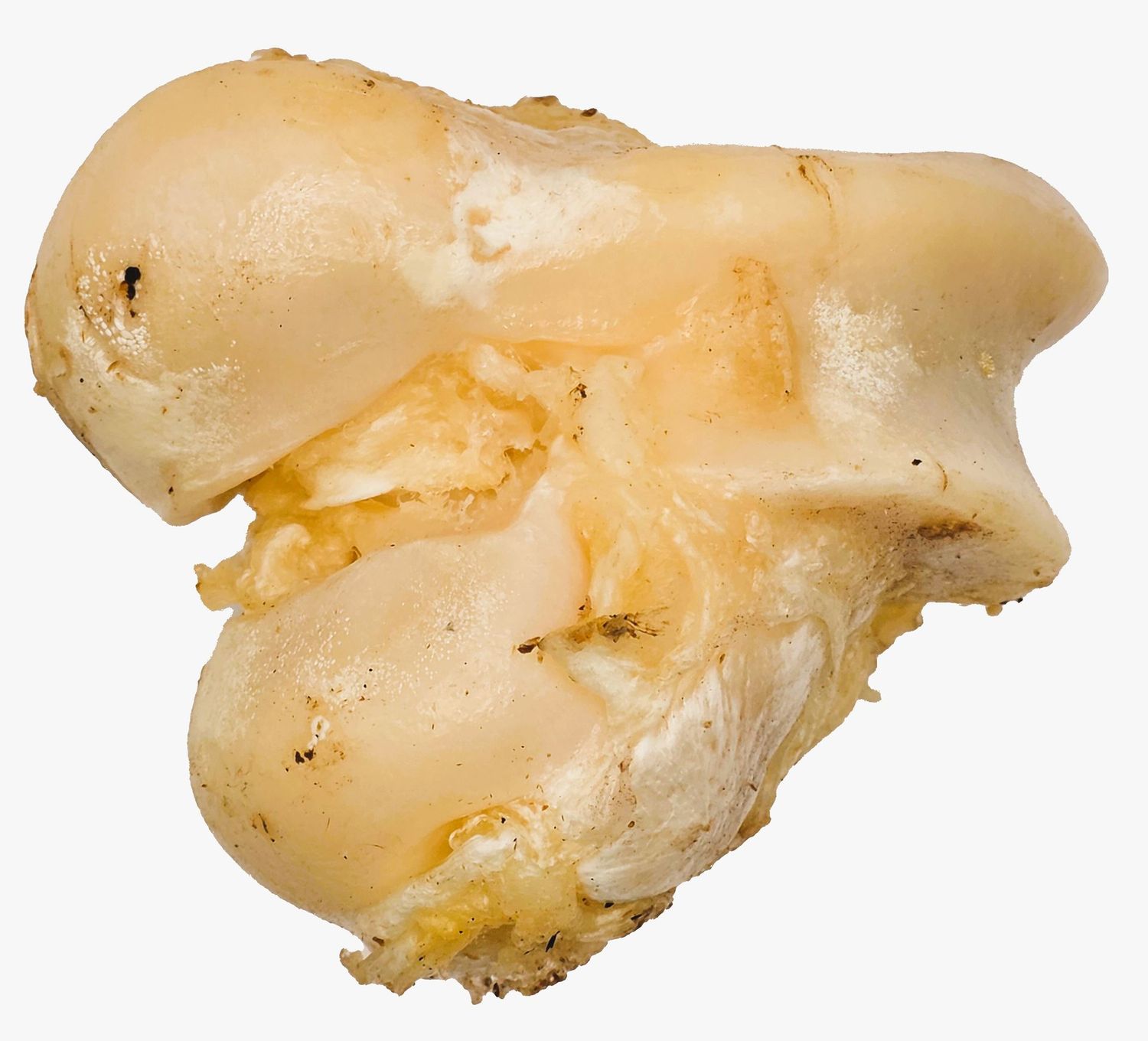 White Large Knuckle