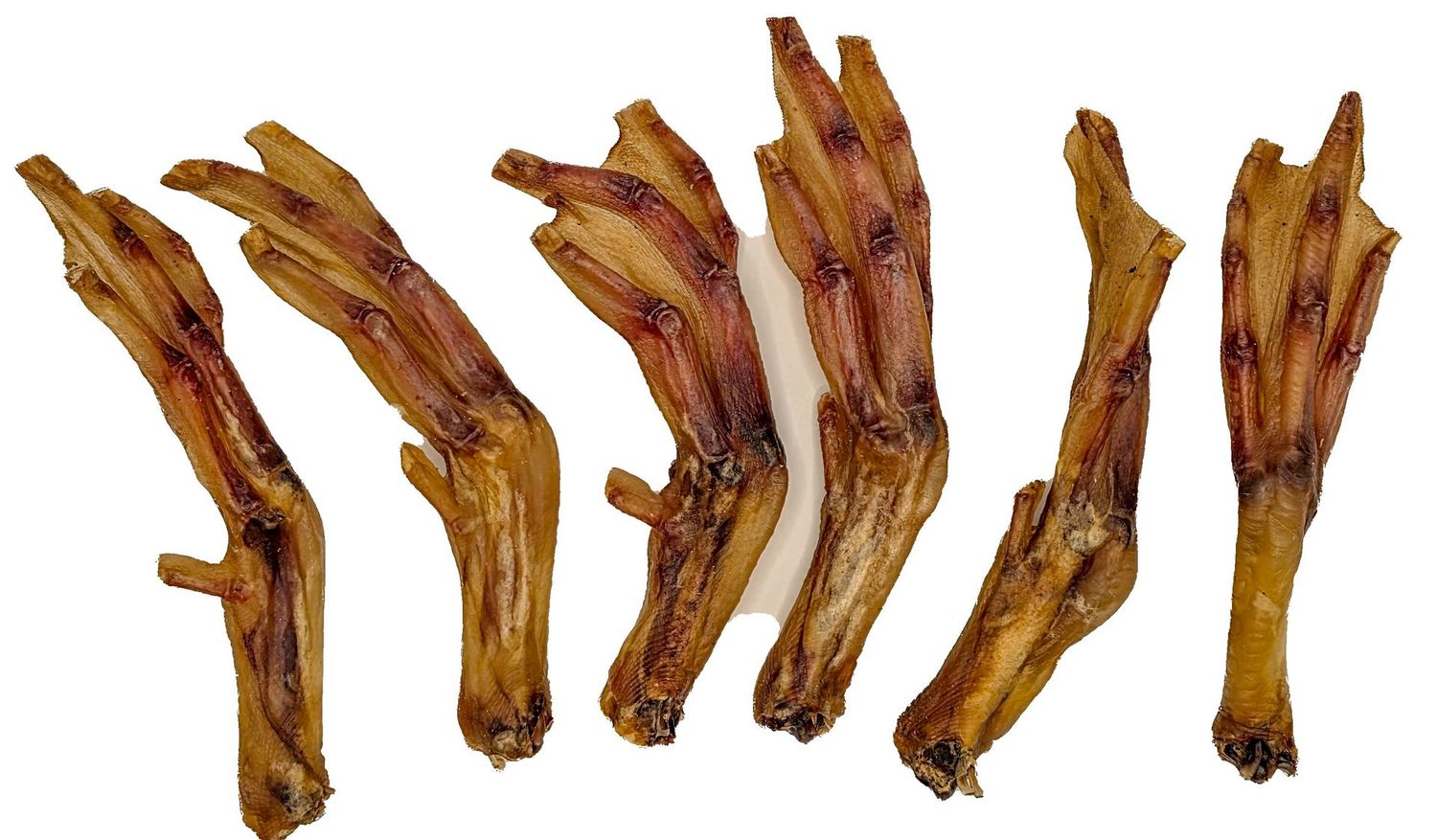 Duck Feet Duck Feet