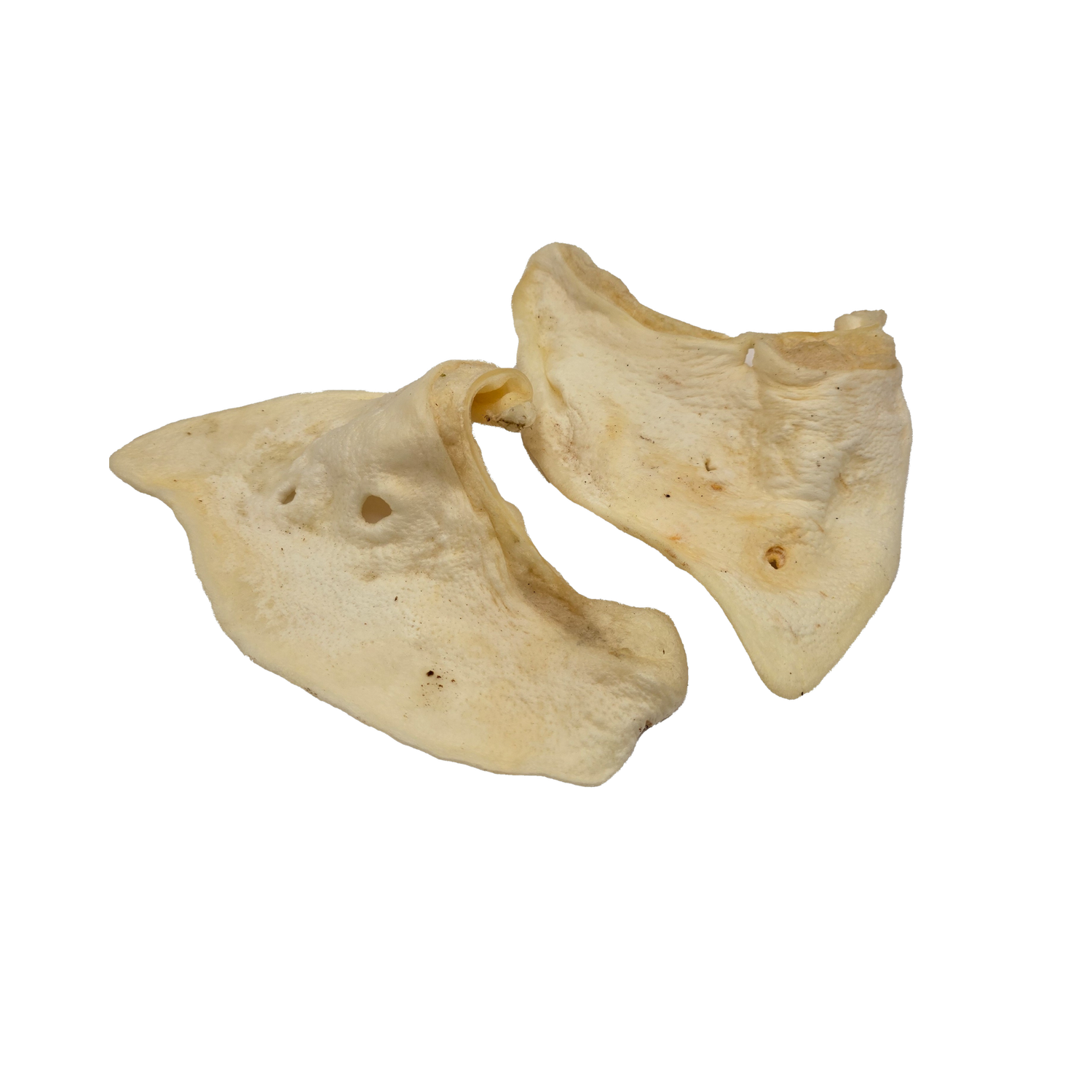 White Pig Ear - 2 pk