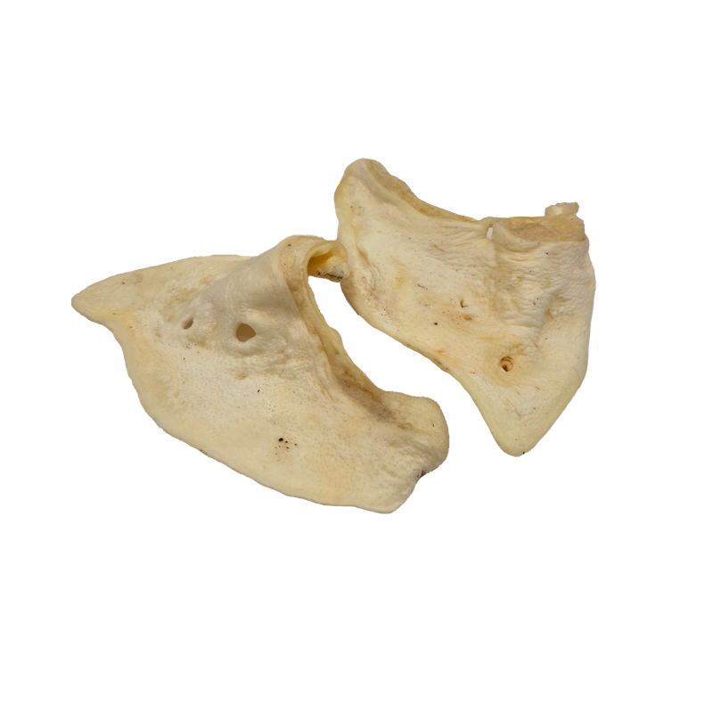 White Pig Ear - 2 pk White Pig Ear - 2 pk