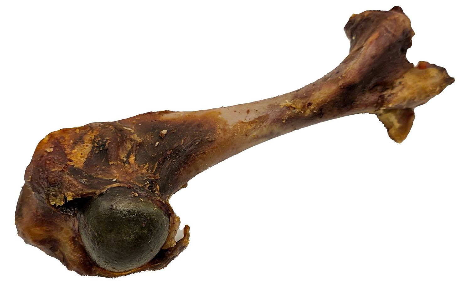 Boar Bone Boar Bone