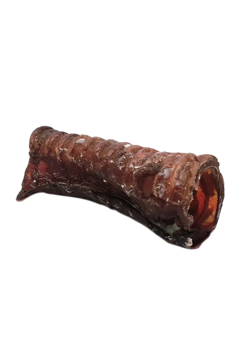 Moo Tube - Small