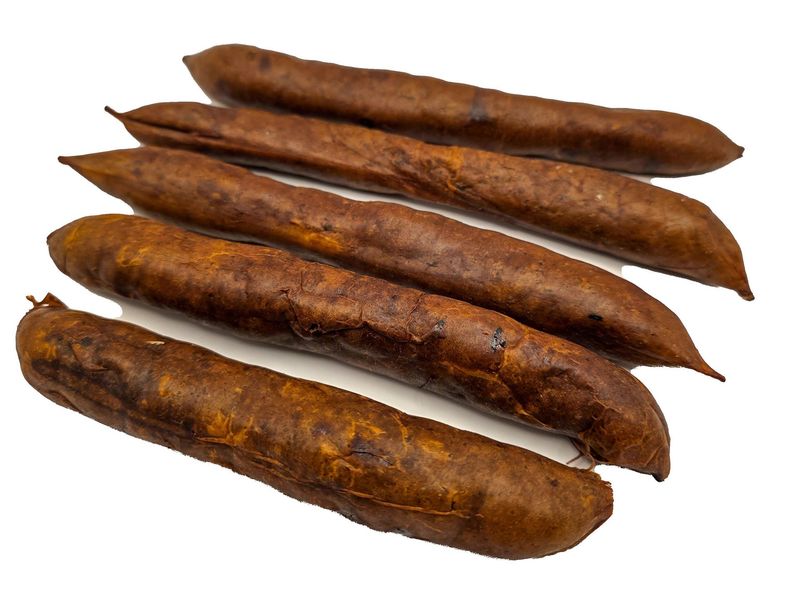 Turkey Links Turkey Links