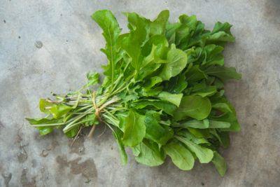 Arúgula