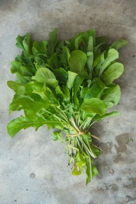 Arúgula