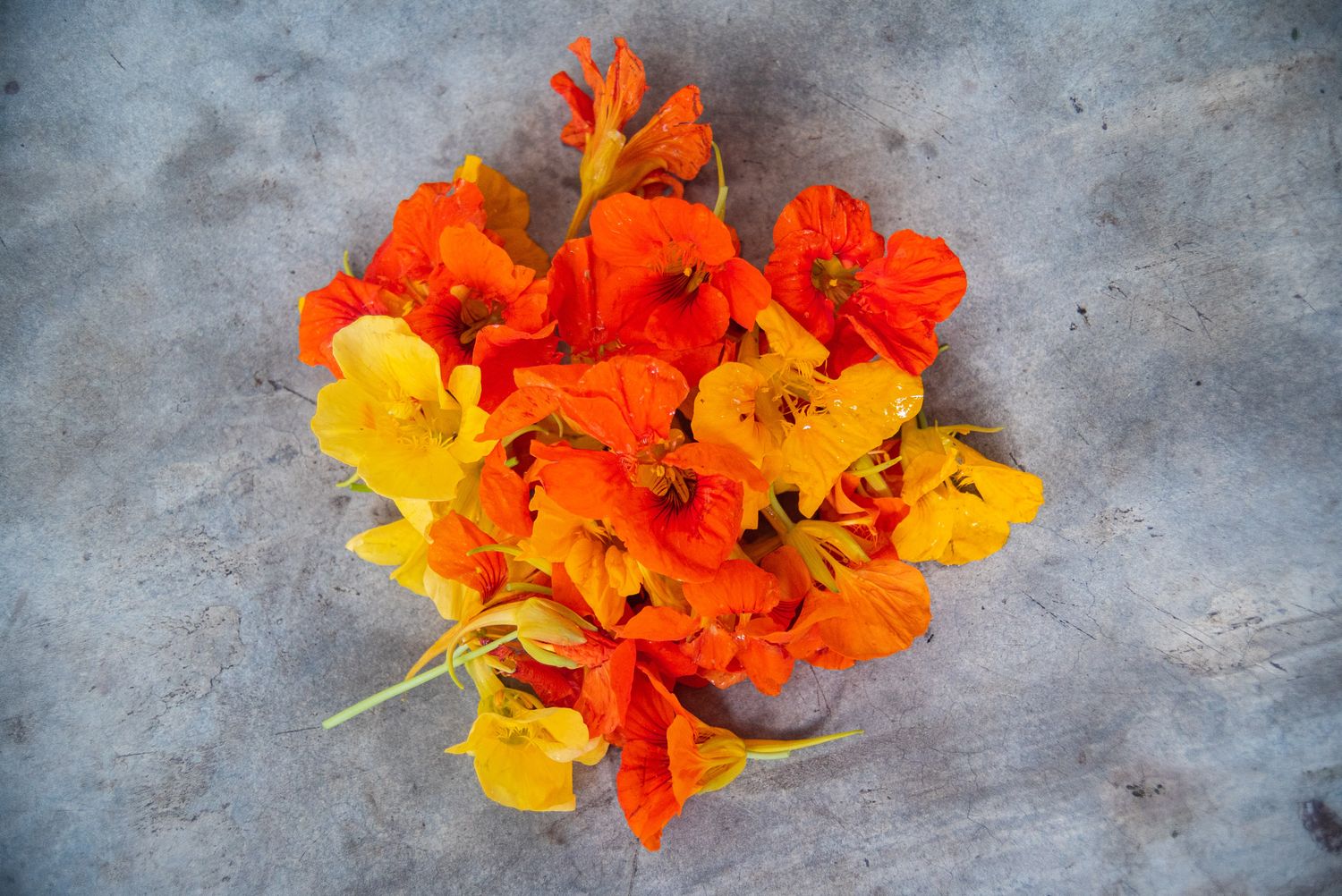 Flores Comestibles