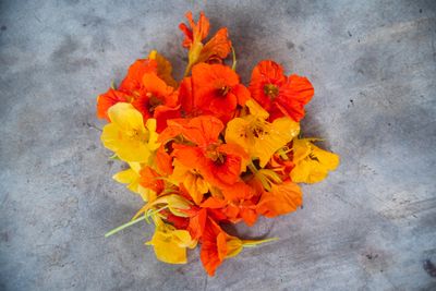 Flores Comestibles