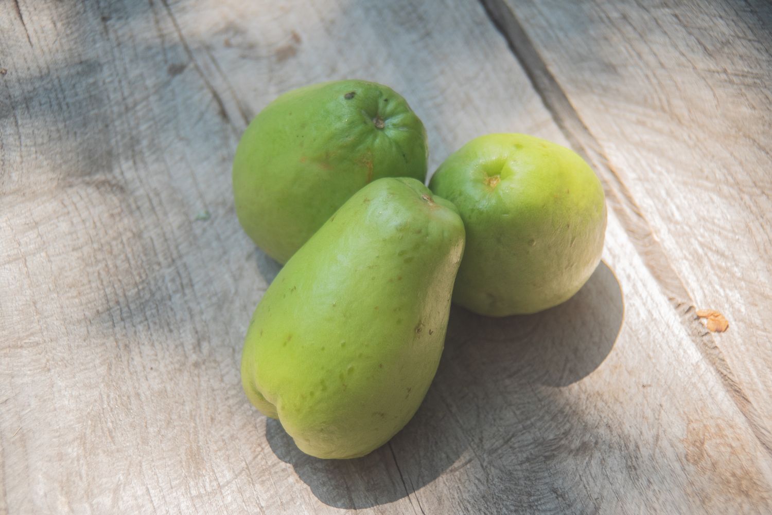 Chayote
