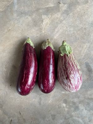 Berenjena