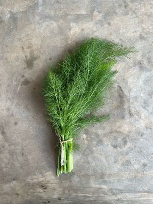 Hoja de Hinojo