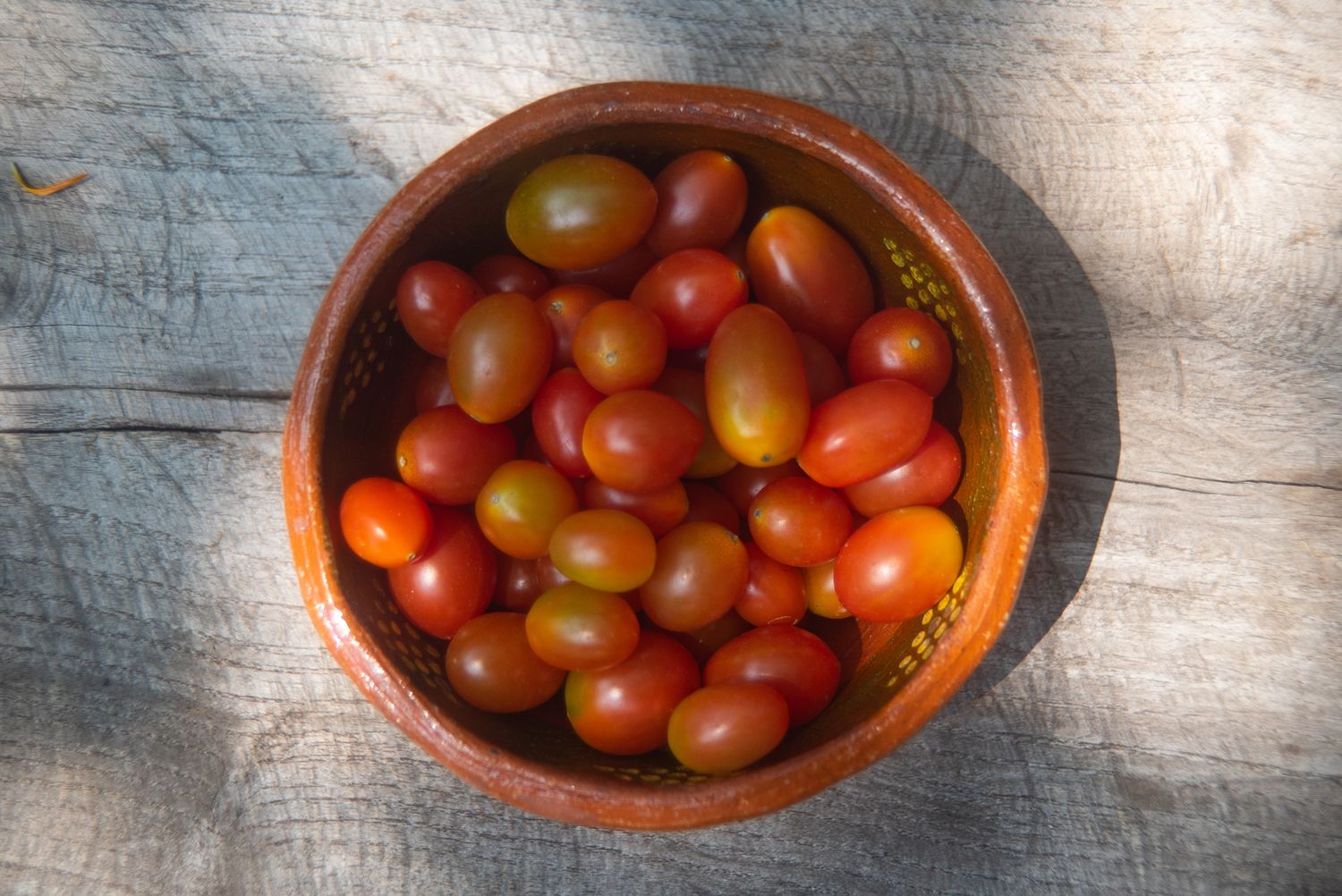 Tomate Cherry