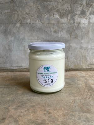 Yogurt griego