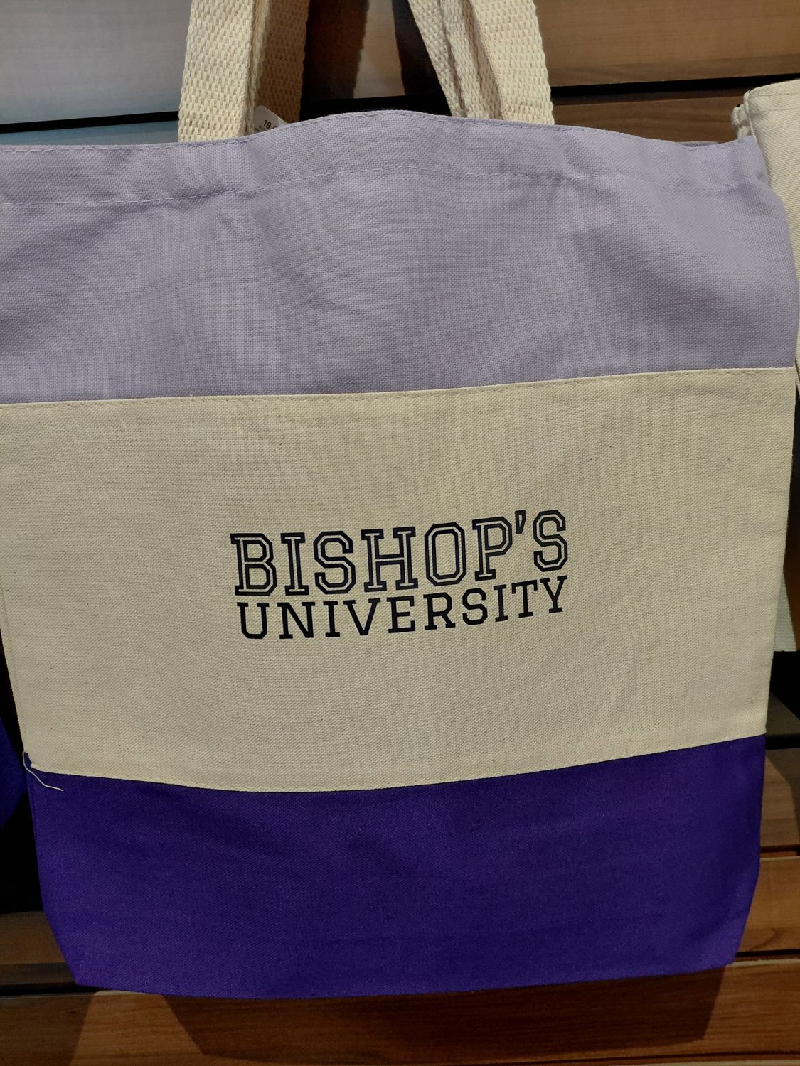 Tote Bag - Tri Colour