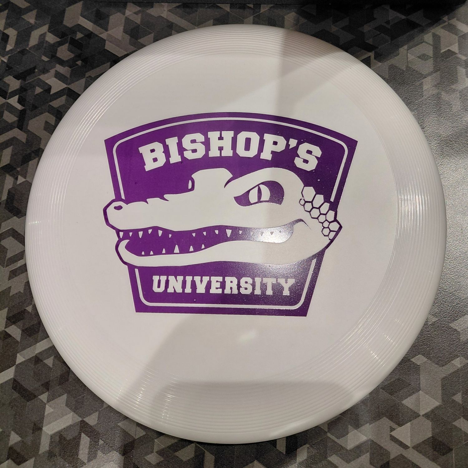 WHITE FRISBEE