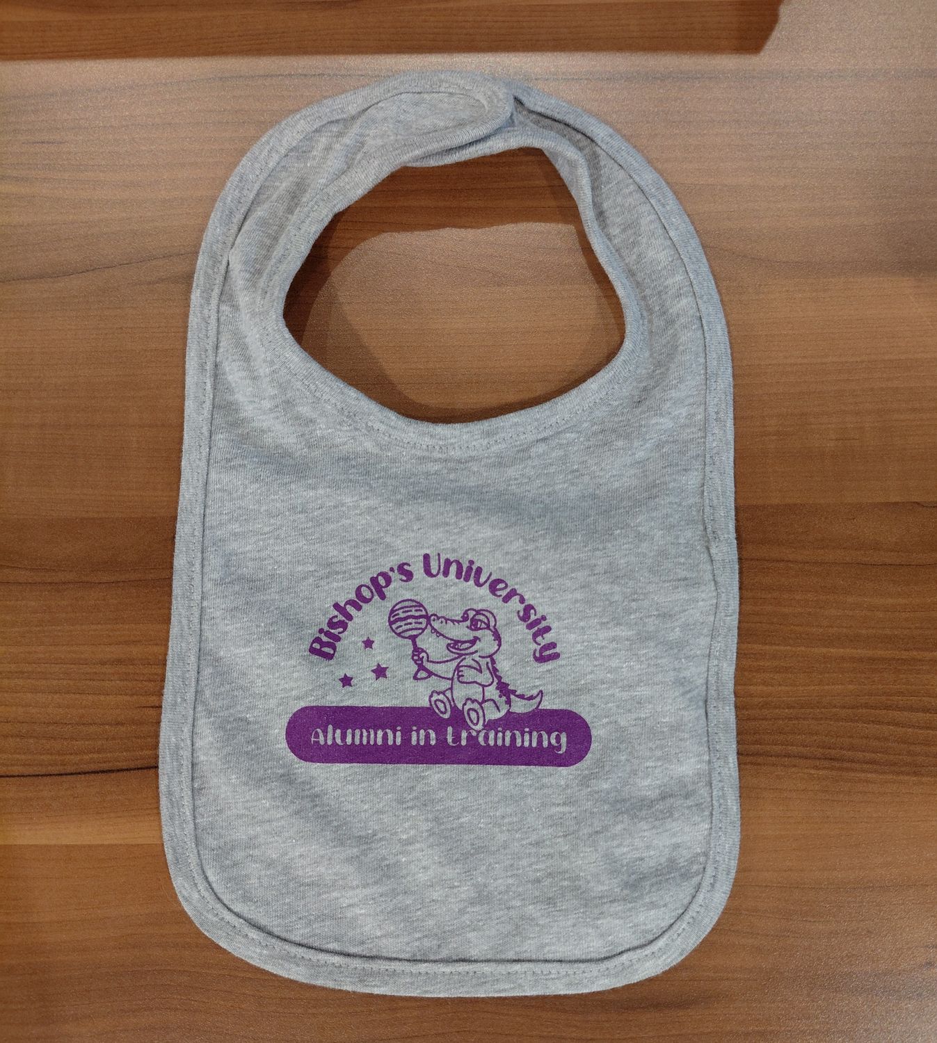 BISHOP'S PURPLE BABY BIB