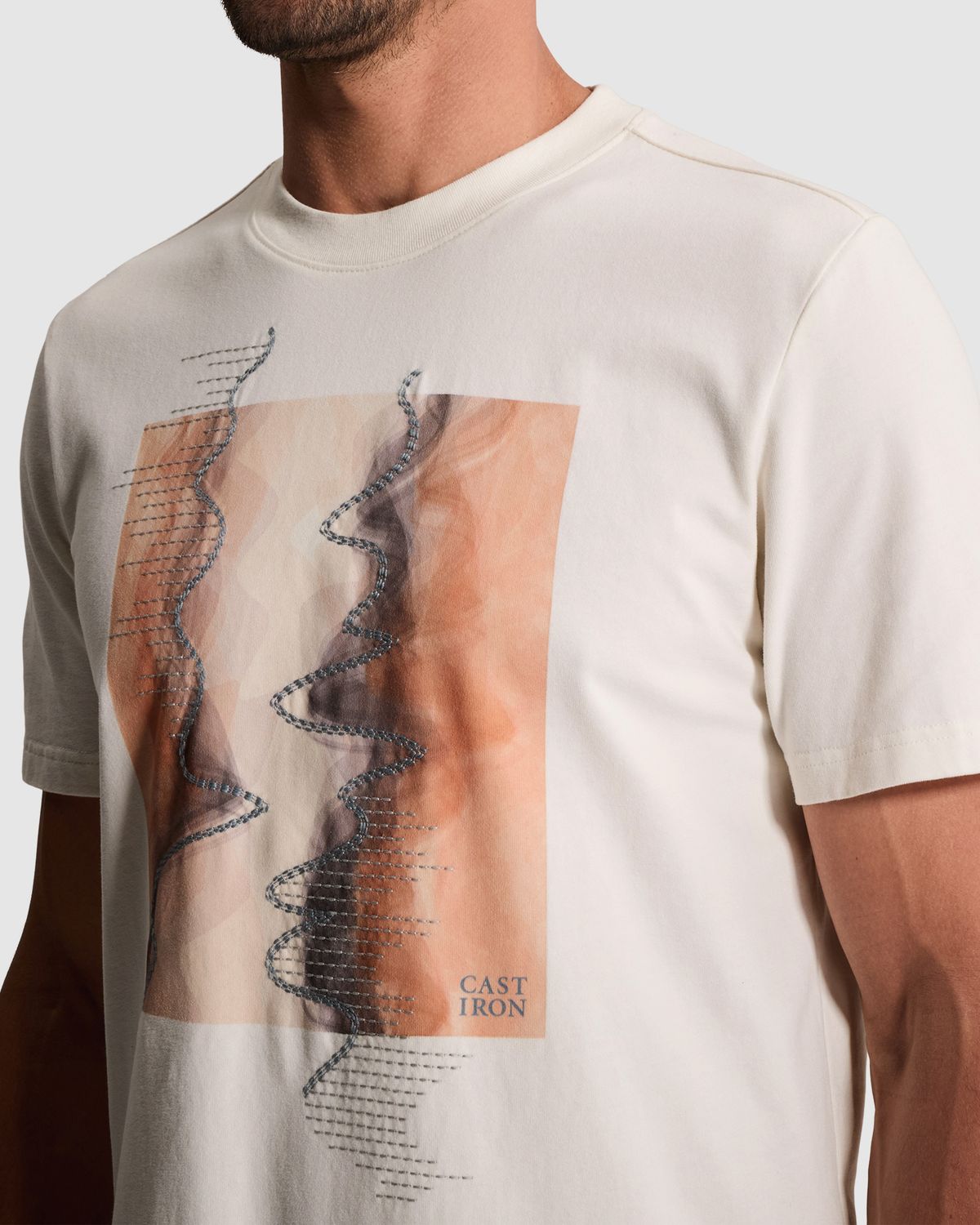 Cast Iron Regular fit T-shirt met artwork