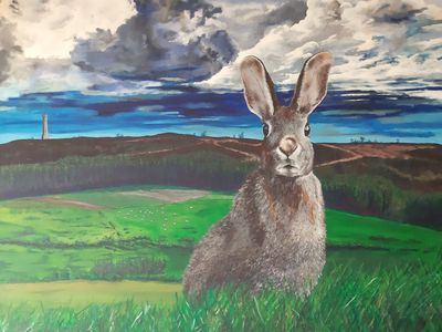Dorset Landscapes