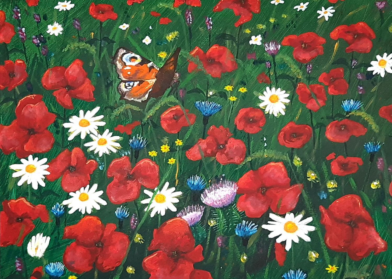 Peacock Butterfly (Original Artwork) Peacock Butterfly (Original Artwork)