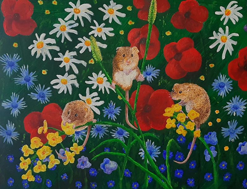 Harvest Mice (Print) Harvest Mice (Print)
