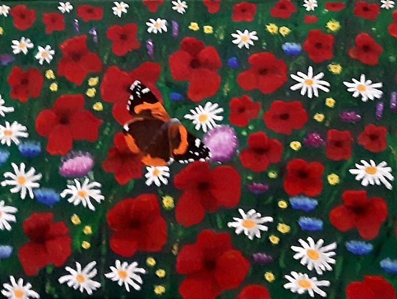 Red Admiral Butterfly (Print) Red Admiral Butterfly (Print)